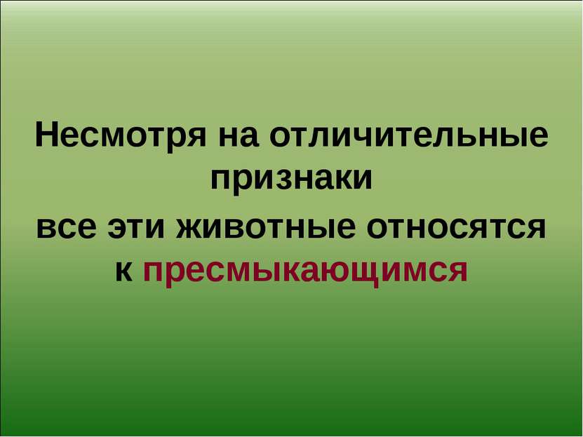 Несмотря на отличительные признаки все эти животные относятся к пресмыкающимся