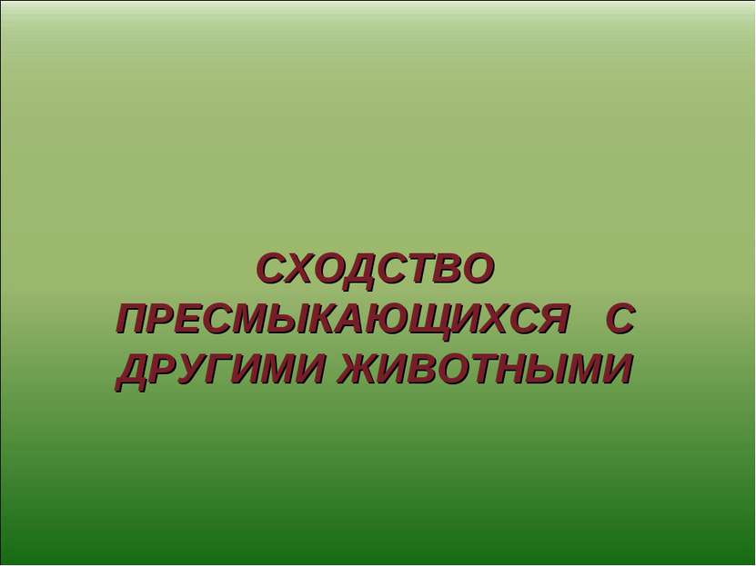 СХОДСТВО ПРЕСМЫКАЮЩИХСЯ С ДРУГИМИ ЖИВОТНЫМИ