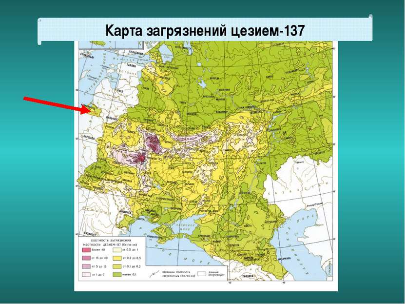Карта загрязнений цезием-137