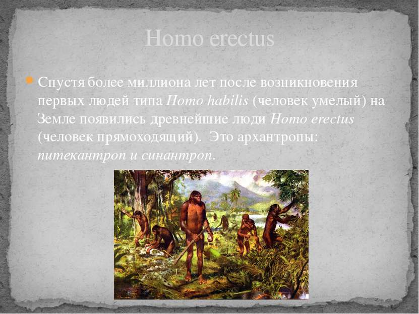 Homo erectus Спустя более миллиона лет после возникновения первых людей типа ...