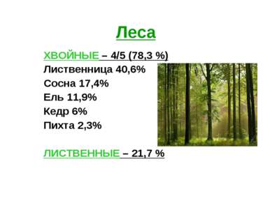 Леса ХВОЙНЫЕ – 4/5 (78,3 %) Лиственница 40,6% Сосна 17,4% Ель 11,9% Кедр 6% П...