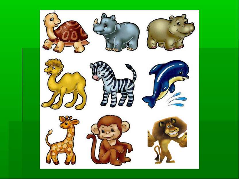 Девять животных. Изображения животных для детей. Картинки животных для малышей. Животные рисунки для детей цветные. Рисунки зверей для детей цветные.