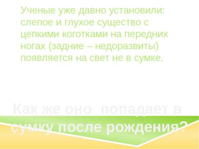   Как же оно попадает в сумку после рождения? Ученые уже давно установили: сл...