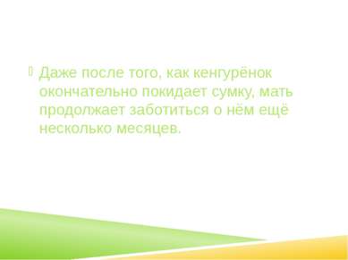 Даже после того, как кенгурёнок окончательно покидает сумку, мать продолжает ...