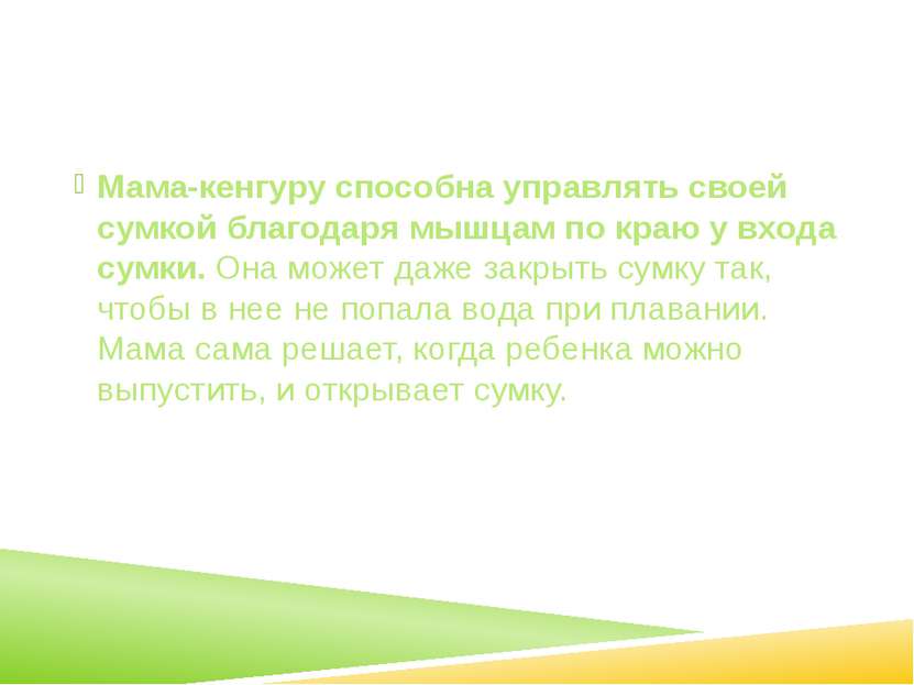 Мама-кенгуру способна управлять своей сумкой благодаря мышцам по краю у входа...