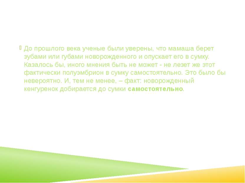 До прошлого века ученые были уверены, что мамаша берет зубами или губами ново...