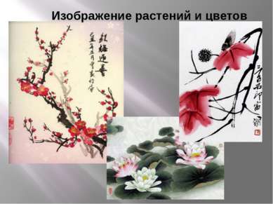 Изображение растений и цветов