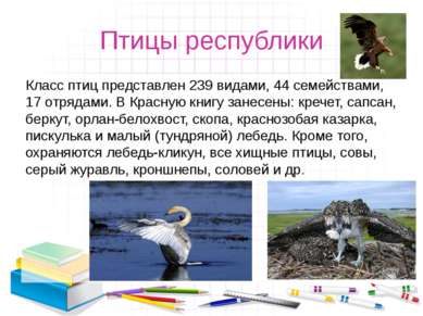 Птицы республики Класс птиц представлен 239 видами, 44 семействами, 17 отряда...