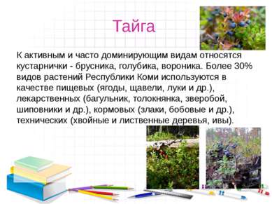 Тайга К активным и часто доминирующим видам относятся кустарнички - брусника,...
