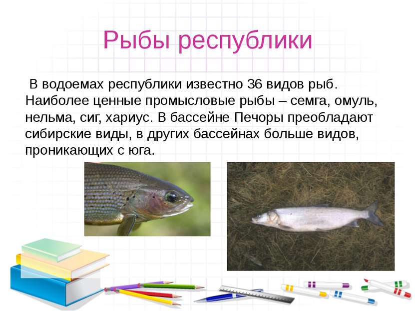 Рыбы республики  В водоемах республики известно 36 видов рыб. Наиболее ценные...