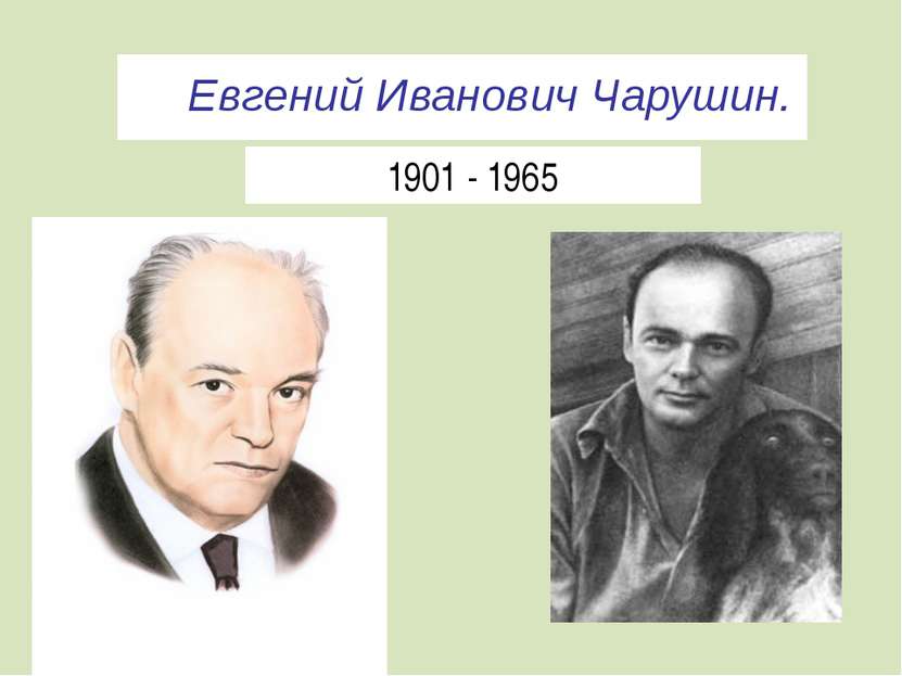 Евгений Иванович Чарушин. 1901 - 1965
