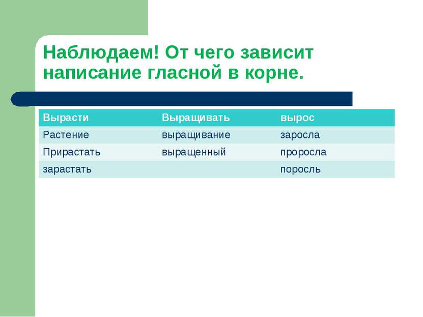 Наблюдаем! От чего зависит написание гласной в корне. Вырасти Выращивать выро...