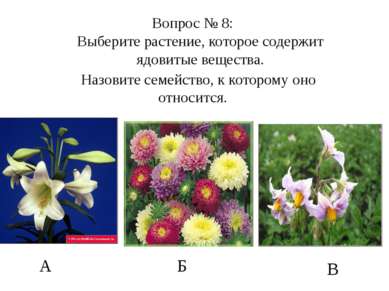 А Б В Вопрос № 8: Выберите растение, которое содержит ядовитые вещества. Назо...
