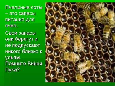 Пчелиные соты – это запасы питания для пчел. Свои запасы они берегут и не под...