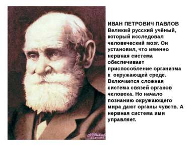 ИВАН ПЕТРОВИЧ ПАВЛОВ Великий русский учёный, который исследовал человеческий ...