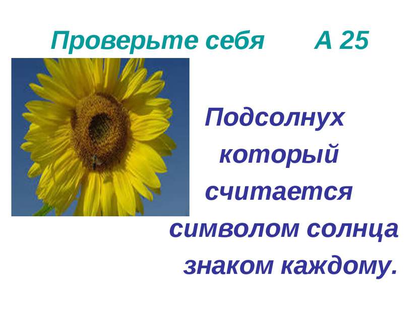 Проверьте себя А 25 Подсолнух который считается символом солнца знаком каждому.