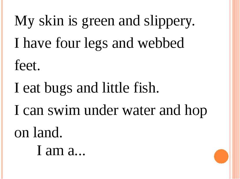 My skin is green and slippery.  I have four legs and webbed feet.  I eat bugs...