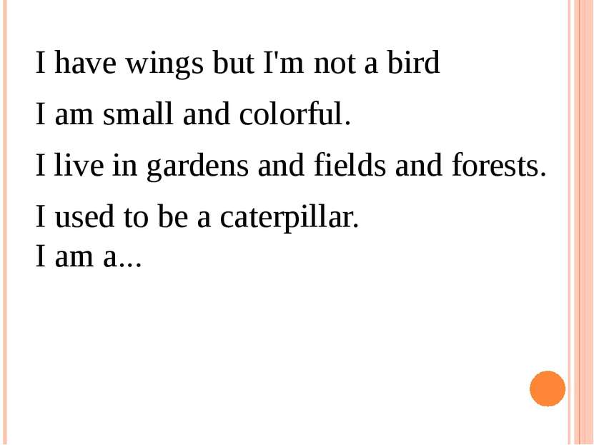 I have wings but I'm not a bird  I am small and colorful.  I live in gardens ...