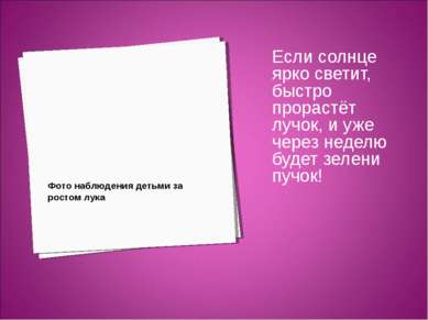 Фото наблюдения детьми за ростом лука Если солнце ярко светит, быстро прораст...