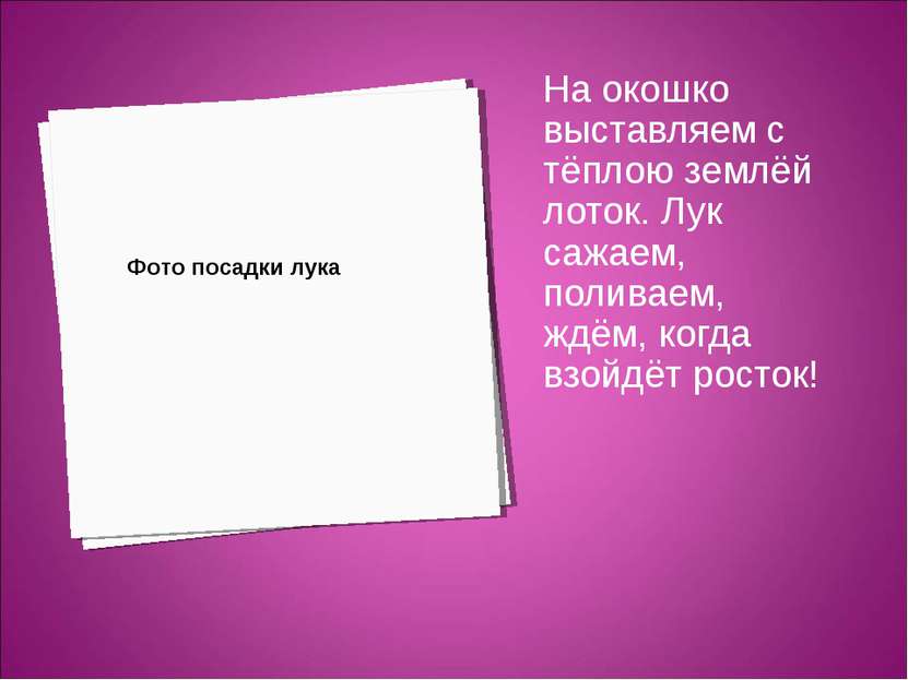 На окошко выставляем с тёплою землёй лоток. Лук сажаем, поливаем, ждём, когда...