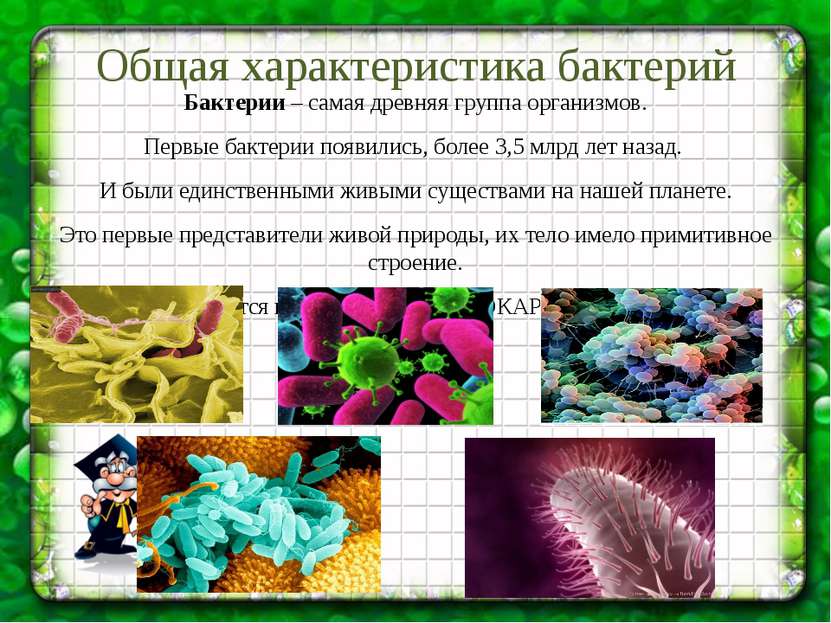 Общая характеристика бактерий Бактерии – самая древняя группа организмов. Пер...