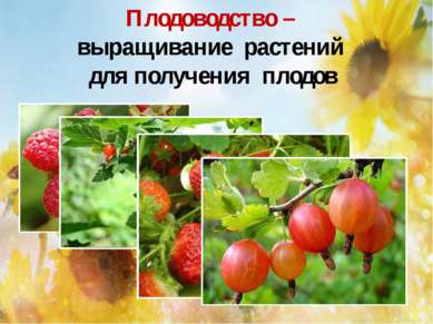 Плодоводство – выращивание растений для получения плодов