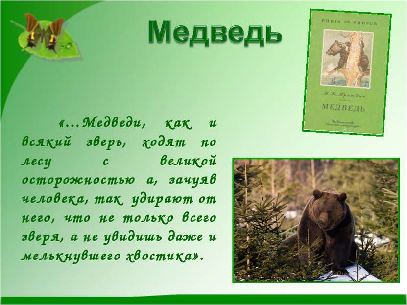 «…Медведи, как и всякий зверь, ходят по лесу с великой осторожностью а, зачуя...