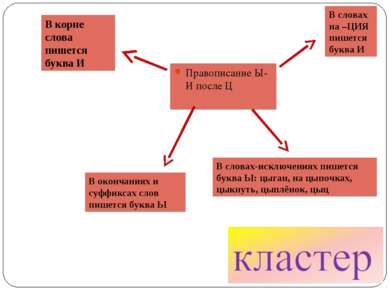 Правописание Ы-И после Ц В корне слова пишется буква И В окончаниях и суффикс...