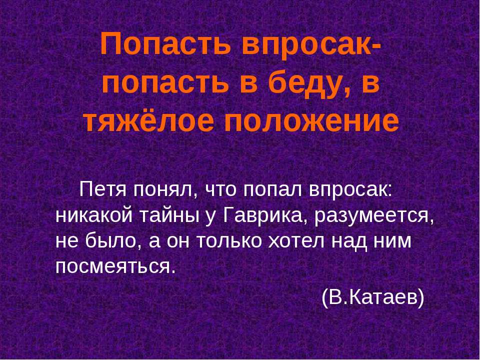 Объясните значение фразеологизма попасть впросак