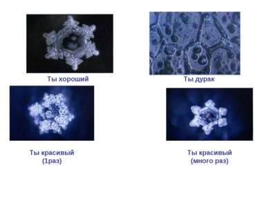 Ты хороший Ты дурак Ты красивый (1раз) Ты красивый (много раз)