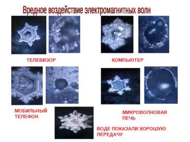 ТЕЛЕВИЗОР КОМПЬЮТЕР МОБИЛЬНЫЙ ТЕЛЕФОН МИКРОВОЛНОВАЯ ПЕЧЬ ВОДЕ ПОКАЗАЛИ ХОРОШУ...