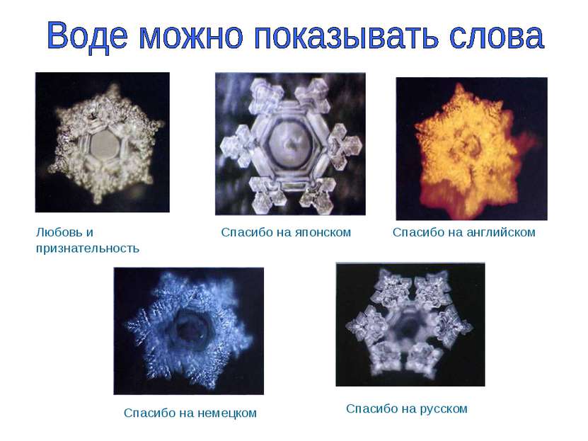 Любовь и признательность Спасибо на японском Спасибо на английском Спасибо на...