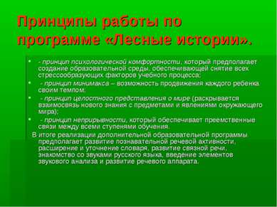 Принципы работы по программе «Лесные истории». - принцип психологической комф...