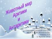 Животный мир Арктики и Антарктиды