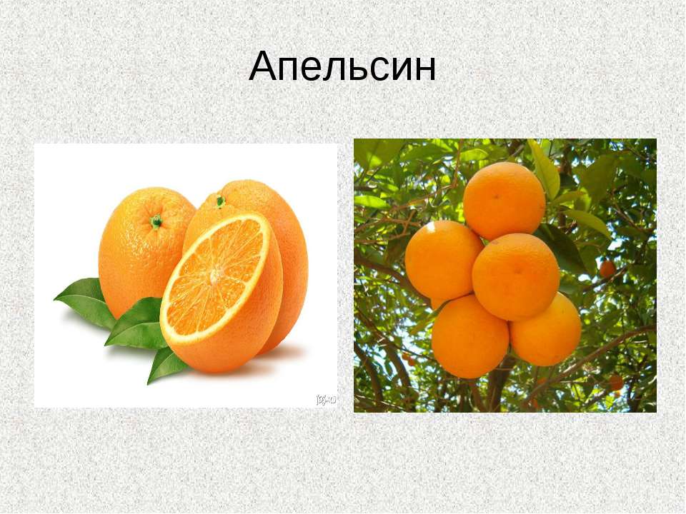 Как по английски будет апельсин. Презентация на тему апельсин. Апельсин для презентации. Сообщение про апельсин. Слайды с апельсином.