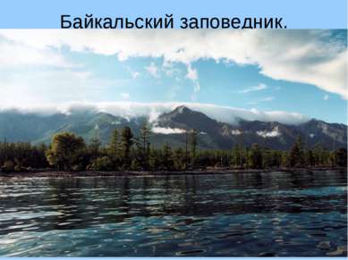 Байкальский заповедник. Вокруг самого глубокого на нашей планете озера Байкал...