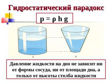 Гидростатический парадокс Давление жидкости на дно не зависит ни от формы сос...