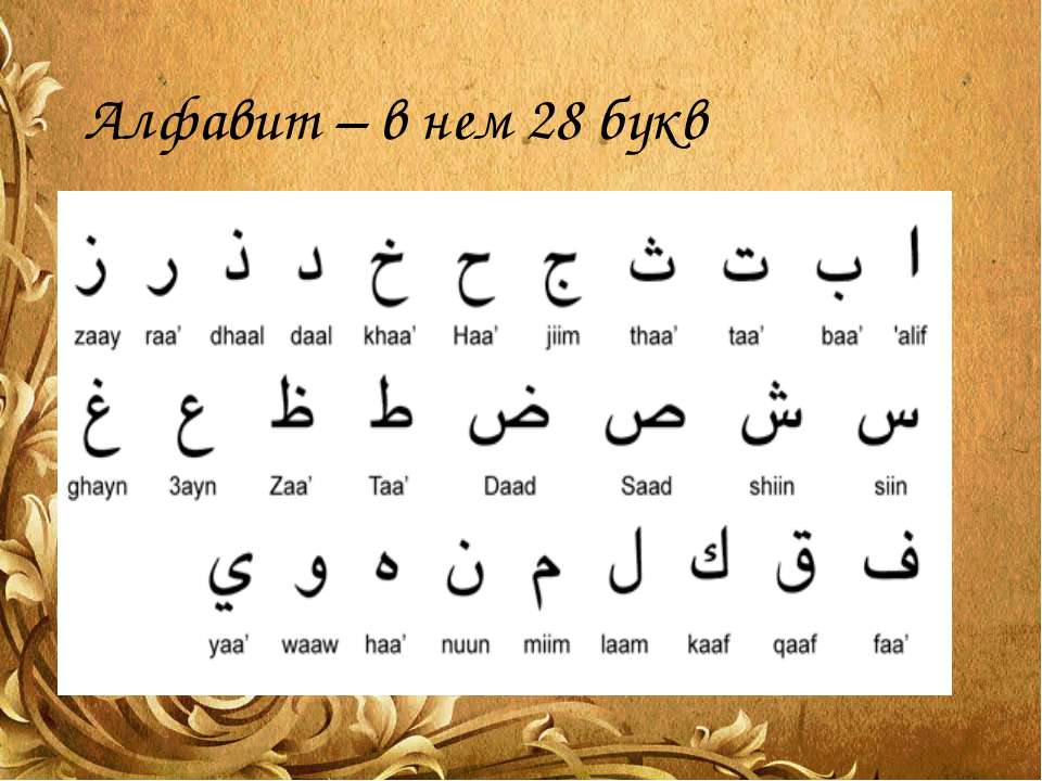Учить арабские буквы
