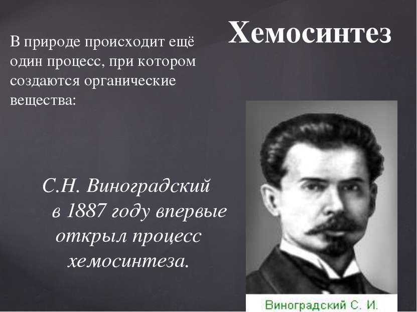 Хемосинтез С.Н. Виноградский в 1887 году впервые открыл процесс хемосинтеза. ...