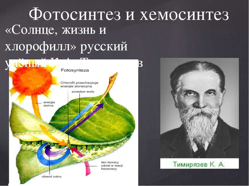 Фотосинтез и хемосинтез «Солнце, жизнь и хлорофилл» русский учёный К.А. Тимир...