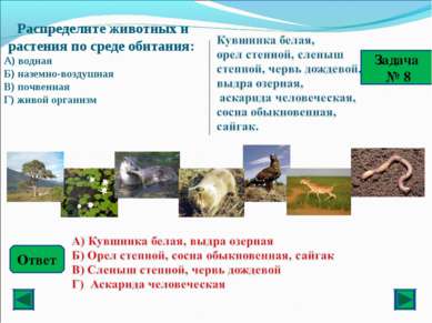 Ответ Задача № 8 Распределите животных и растения по среде обитания: А) водна...
