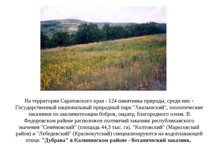 На территории Саратовского края - 124 памятника природы, среди них - Государс...