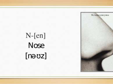 N-[en] Nose [nəʊz]