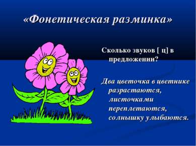 «Фонетическая разминка» Сколько звуков [ ц] в предложении? Два цветочка в цве...