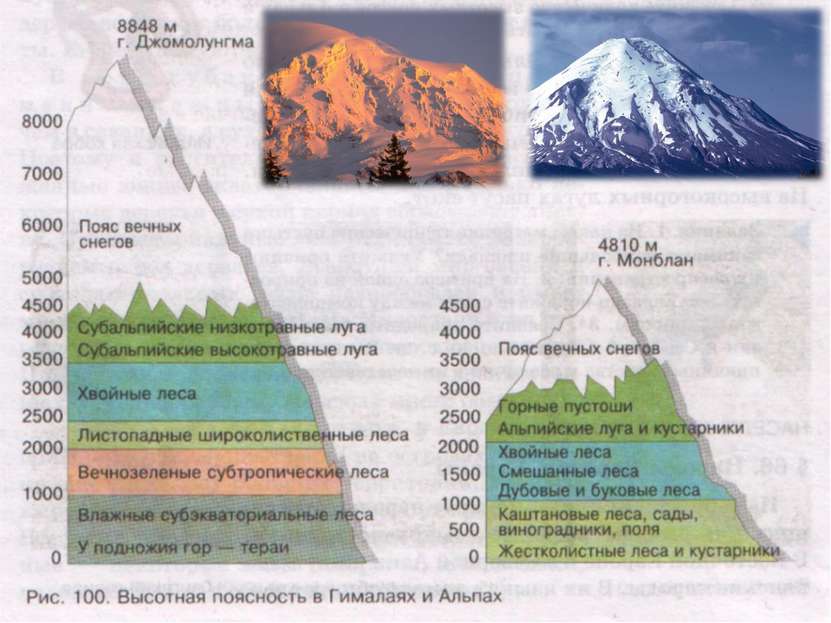 На какие по высоте делятся горы. Высотная поясность горы Джомолунгма. Высотная поясность Тянь Шаня. Высотная поясность Гималаев. Гора Денали Высотная поясность.