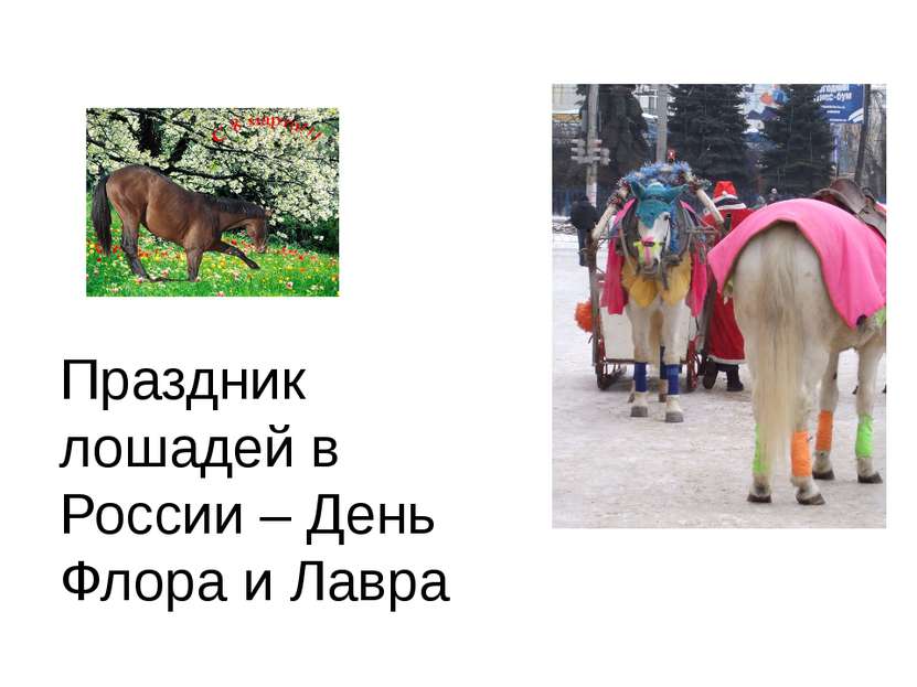 Праздник лошадей в России – День Флора и Лавра