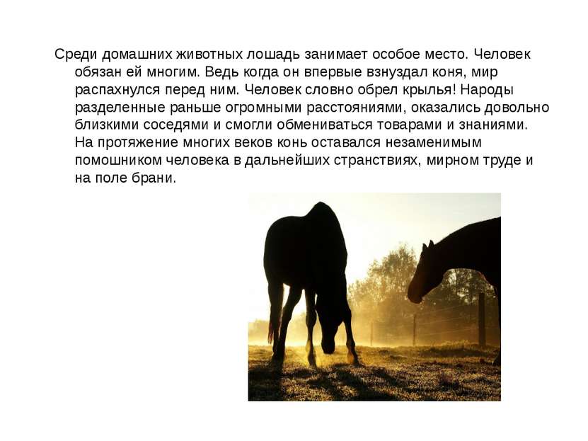 Среди домашних животных лошадь занимает особое место. Человек обязан ей многи...