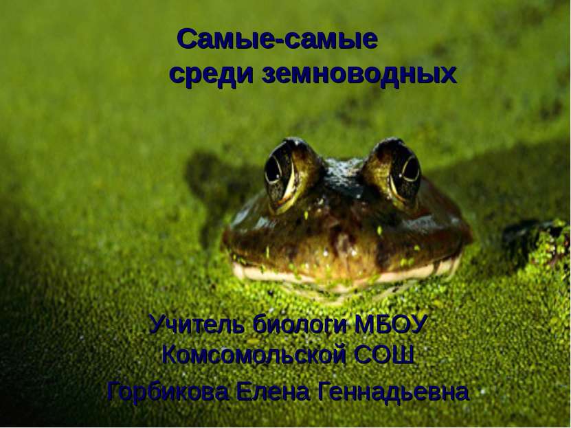 Самые-самые среди земноводных Учитель биологи МБОУ Комсомольской СОШ Горбиков...