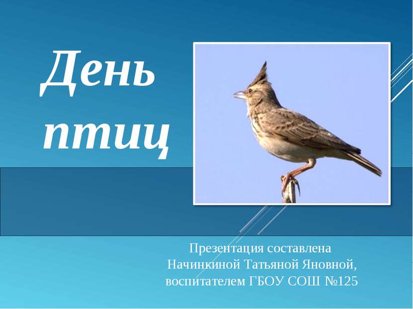 День птиц Презентация составлена Начинкиной Татьяной Яновной, воспитателем ГБ...
