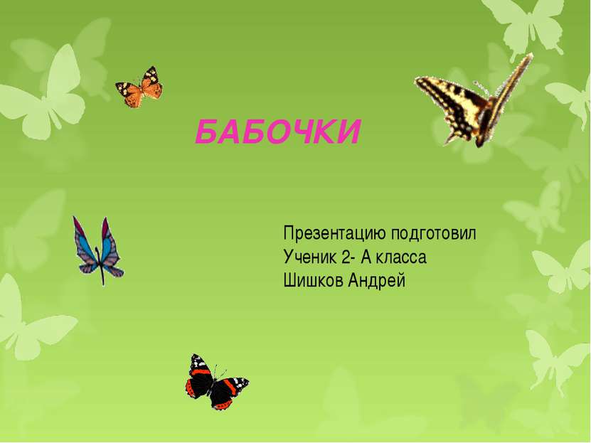БАБОЧКИ Презентацию подготовил Ученик 2- А класса Шишков Андрей